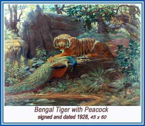 Charles R Knight, wildlife painter, especially loved to paint big cats from real life specimens.